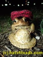 /home//u458753944/public_html/sourcegallery///////Roxborough Toad Detour/2013-2019/2017/P4030709.JPG
